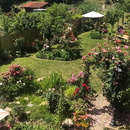 Perlina Karpat Apartamento