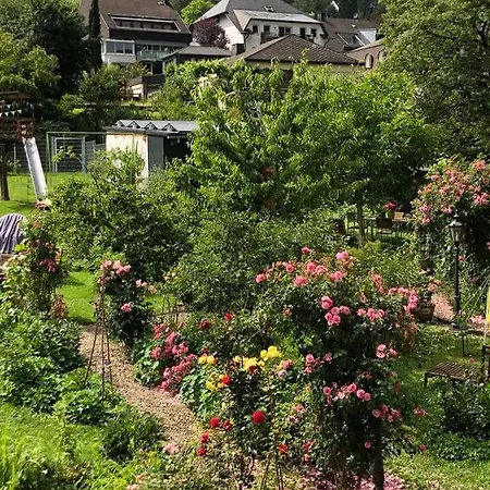 Perlina Karpat Apartamento *