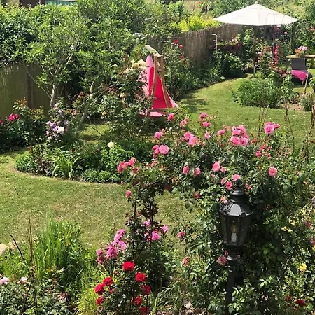 Perlina Karpat Bernkastel-Kues