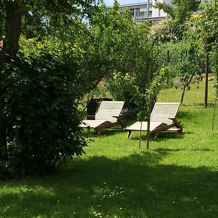 Perlina Karpat Apartment *