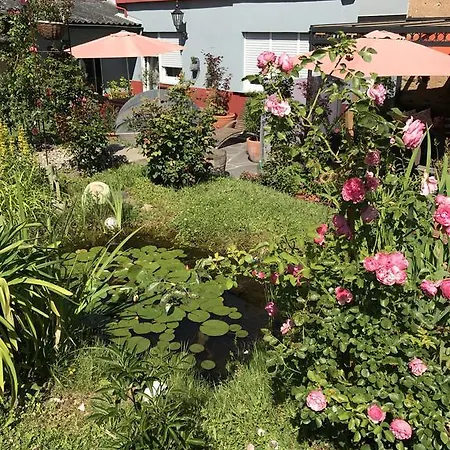 Perlina Karpat Bernkastel-Kues