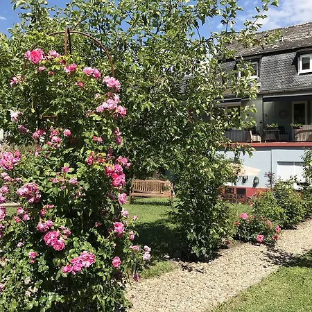 Perlina Karpat * Bernkastel-Kues