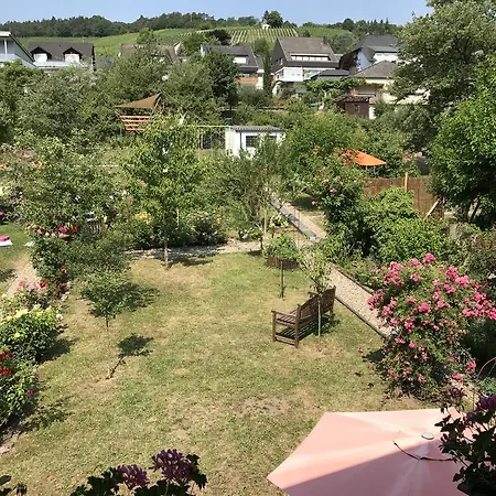 Apartment Perlina Karpat *