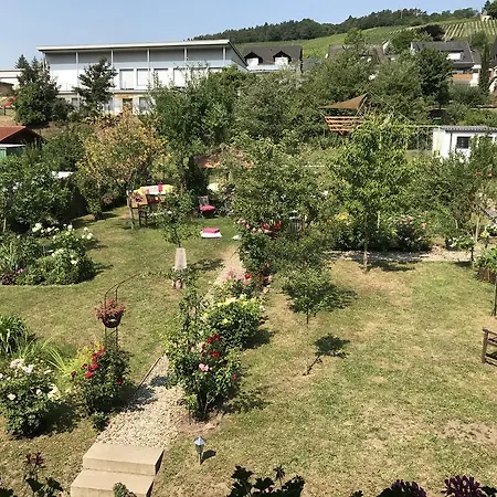 Apartment Perlina Karpat *
