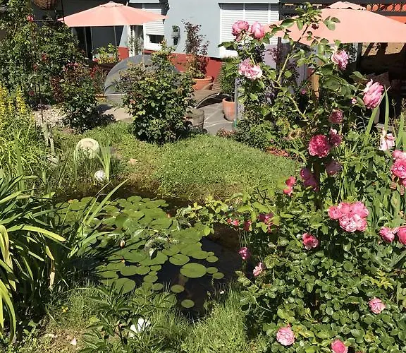 Perlina Karpat Bernkastel-Kues